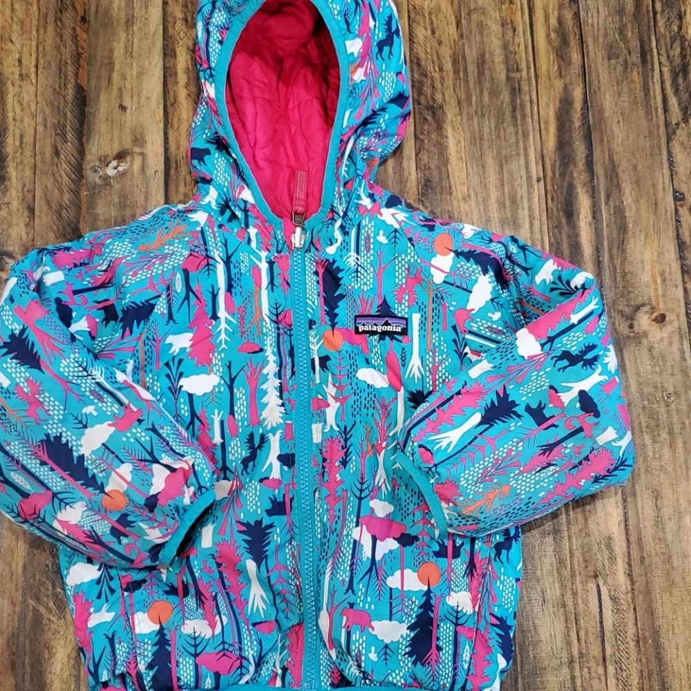 Patagonia jacket